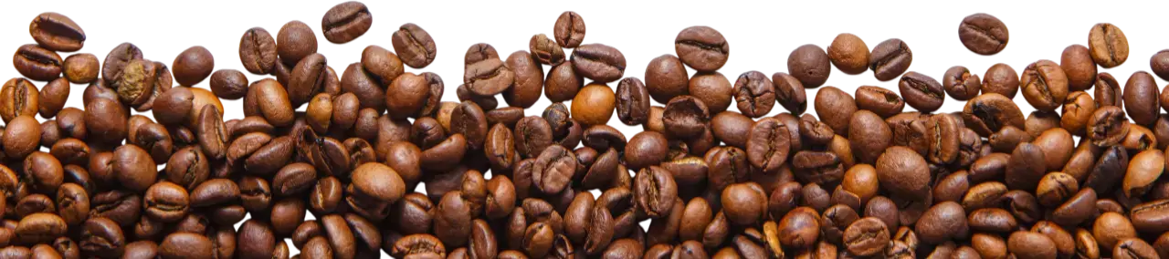Granos de café superiores