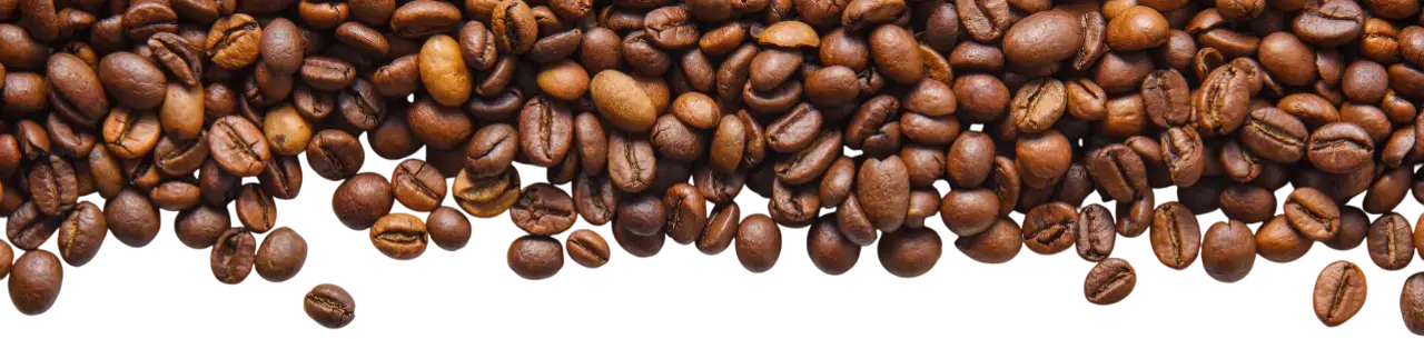 Granos de café superiores